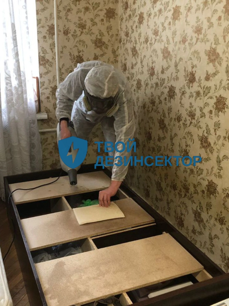 Дезинфекция квартиры в Щелково